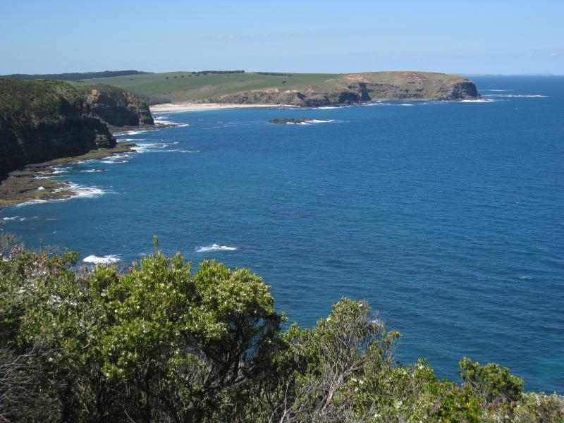 Cape Schanck - Walking tracks and lookouts around car park at end of Cape Schanck Road: View east across Bushrangers Bay towards Picnic Point from lookout south of car park
