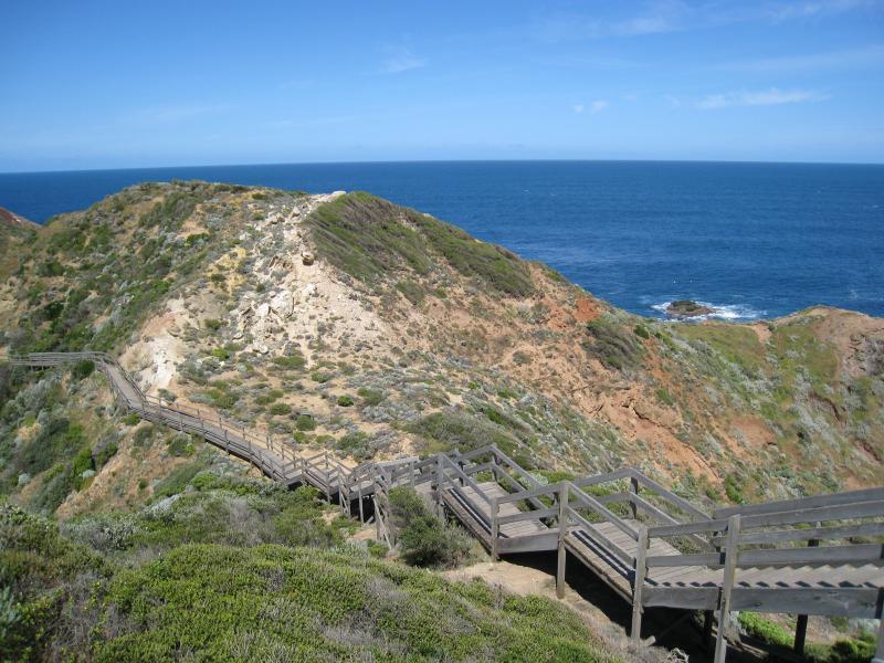 Cape Schanck - Cape Schanck Boardwalk: View along boardwalk