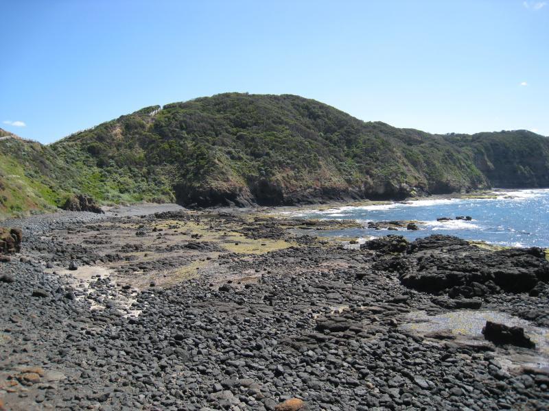 Cape Schanck - Cape Schanck Boardwalk: View north along coast at end of boardwalk, east side of cape