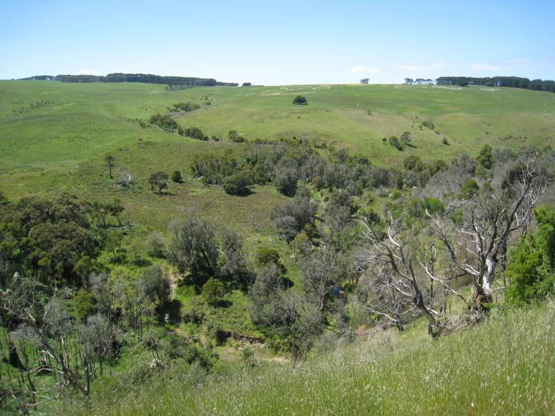 Cape Schanck - Main Creek Picnic Area and surroundings, Boneo Road: View north-east across Main Creek from Boneo Rd west of creek
