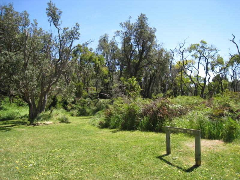 Cape Schanck - Main Creek Picnic Area and surroundings, Boneo Road: Start of circuit walk at Main Creek Picnic Area
