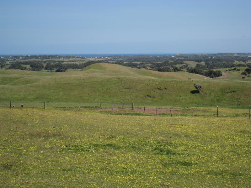Cape Schanck - Boneo Road north of Cape Schanck: North-west view from Boneo Rd south of Patterson Rd