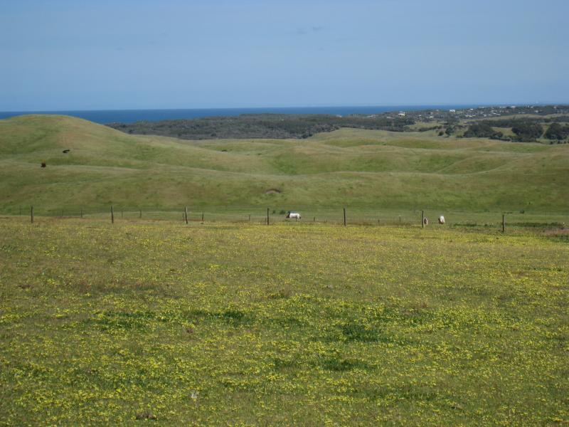 Cape Schanck - Boneo Road north of Cape Schanck: Westerly view from Boneo Rd south of Patterson Rd