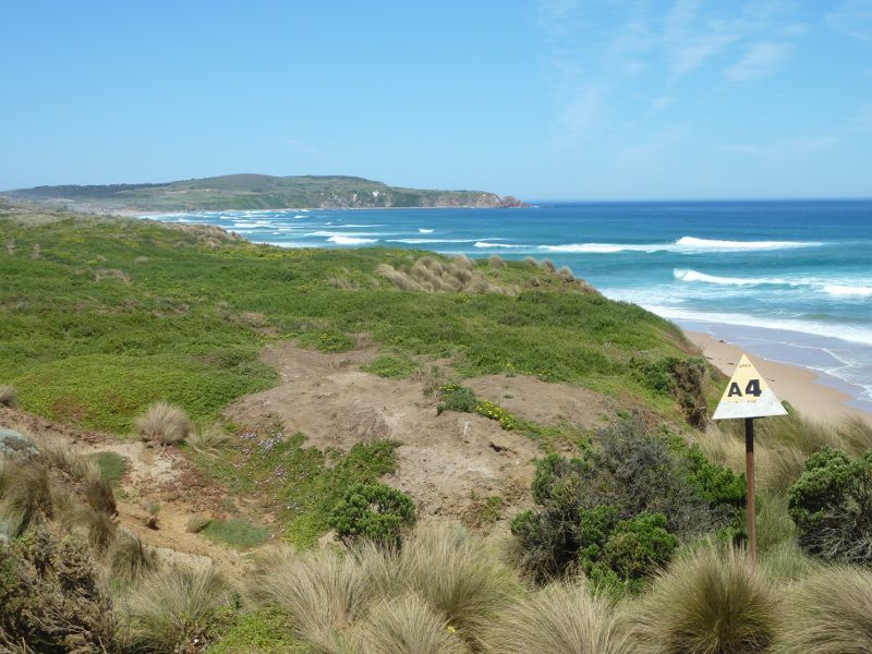 Cape Woolamai - The Colonnades, Woolamai Surf Beach, The Boulevard - South-easterly view along coast from top of cliffs
