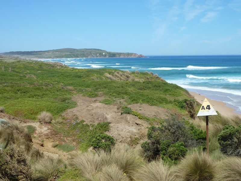 Cape Woolamai - The Colonnades, Woolamai Surf Beach, The Boulevard: South-easterly view along coast from top of cliffs