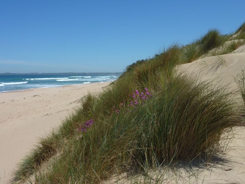Cape Woolamai - Anzacs Beach, Woolamai Beach Road: North-westerly view along beach