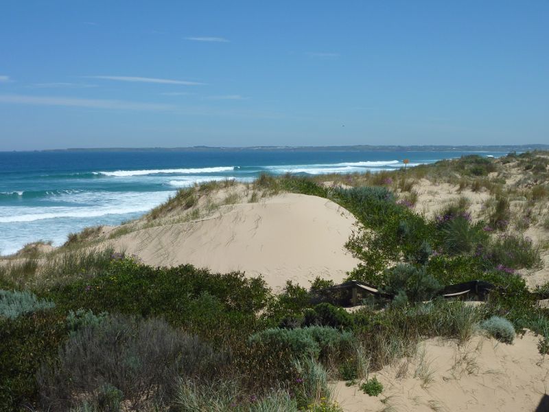 Cape Woolamai - Woolamai Surf Beach at surf lifesaving club, Woolamai Beach Road: Westerly view over sand dunes from surf lifesaving club