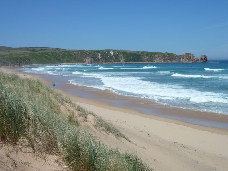 Cape Woolamai - Woolamai Surf Beach at surf lifesaving club, Woolamai Beach Road: South-easterly view along beach from sand dunes