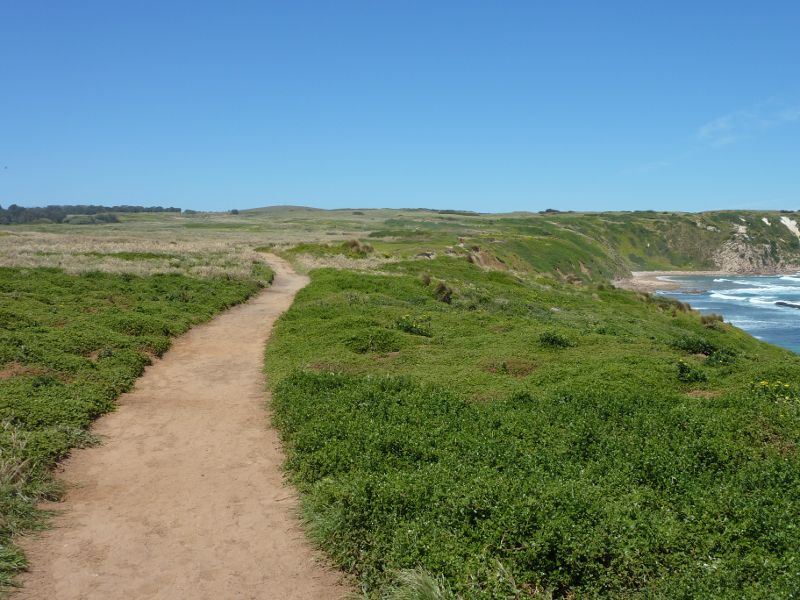 Cape Woolamai - Cape Woolamai Trail near Magic Lands Beach: South-easterly view along trail