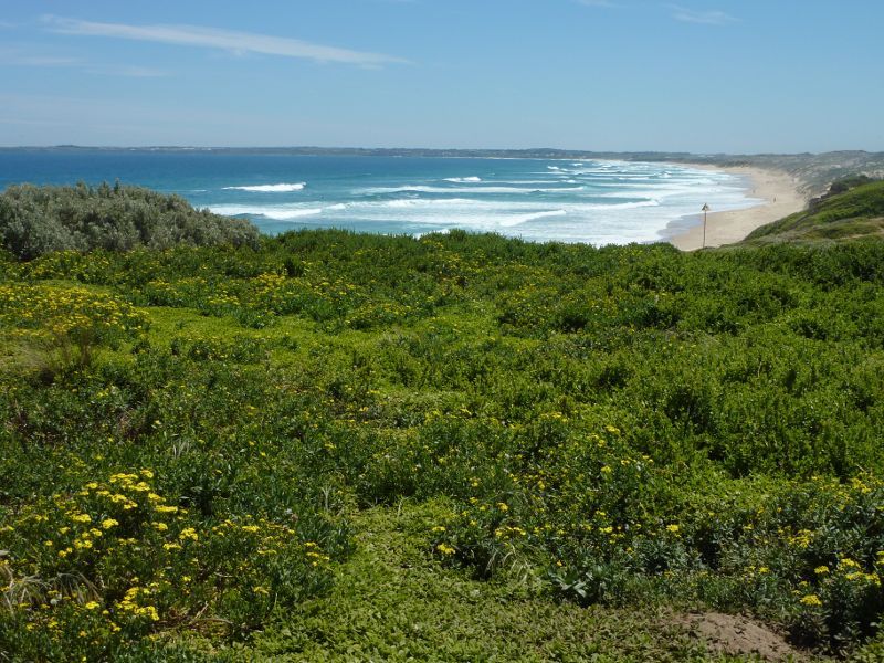 Cape Woolamai - Cape Woolamai Trail near Magic Lands Beach: North-westerly view along coast towards Magic Lands Beach