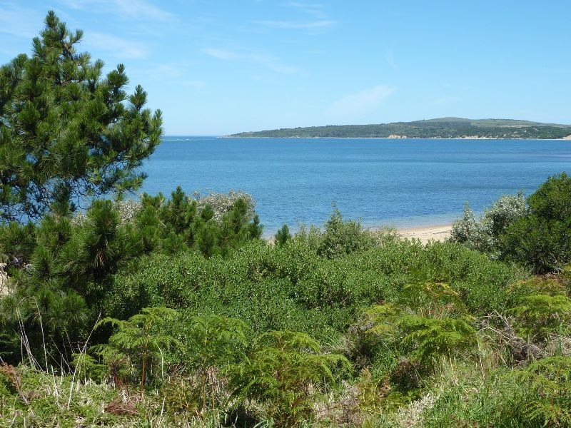 Cape Woolamai - Coastal scenery at east end of Seaspray Avenue: South-easterly view towards Red Point