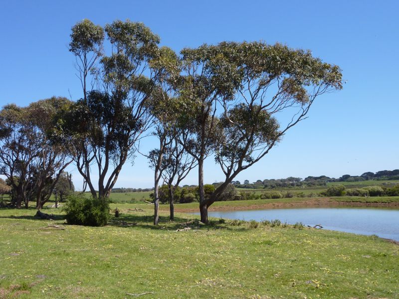 Cape Woolamai - Phillip Island Road: North-westerly view, Phillip Island Rd east of Woolamai Beach Rd