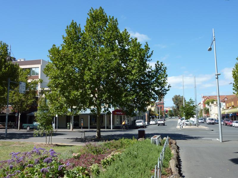 Carlton - Argyle Square and Piazza Italia, Lygon Street and Argyle Place North & South: View east through Argyle Square towards Lygon St and Pelham St