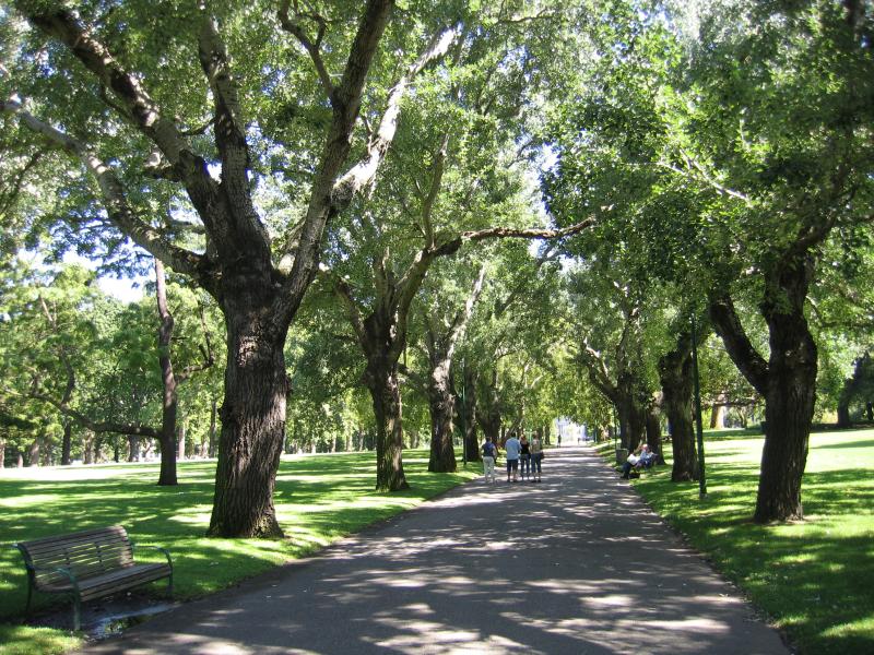 Carlton - Carlton Gardens: Shady pathway