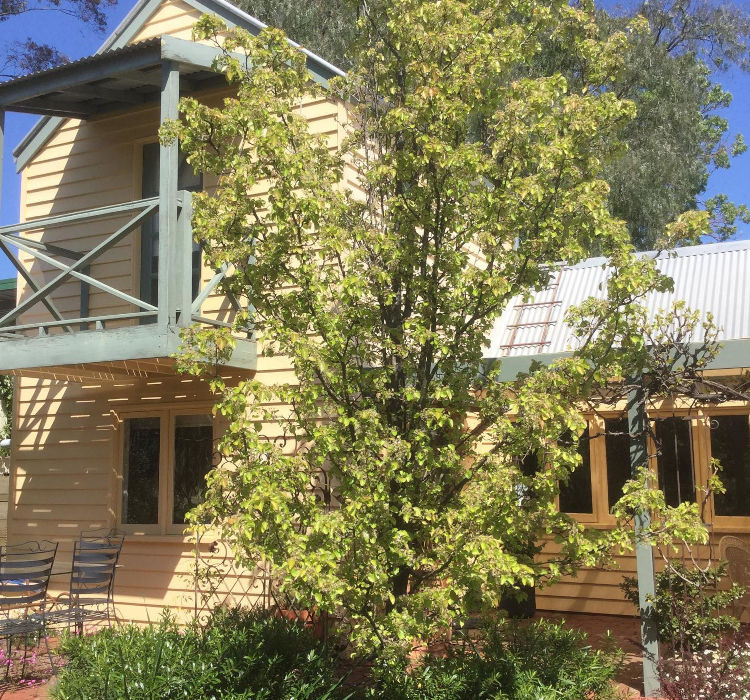 Fitzgeralds on Lyttleton, Castlemaine