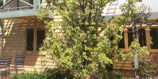 Fitzgeralds on Lyttleton