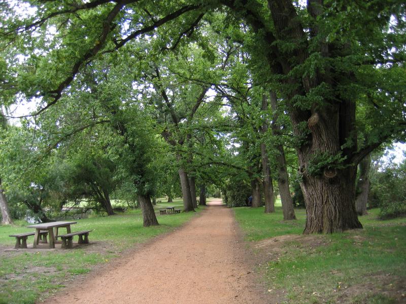 Castlemaine - Castlemaine Botanical Gardens: Pathway
