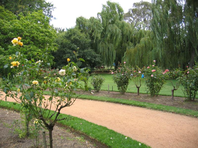 Castlemaine - Castlemaine Botanical Gardens: Roses