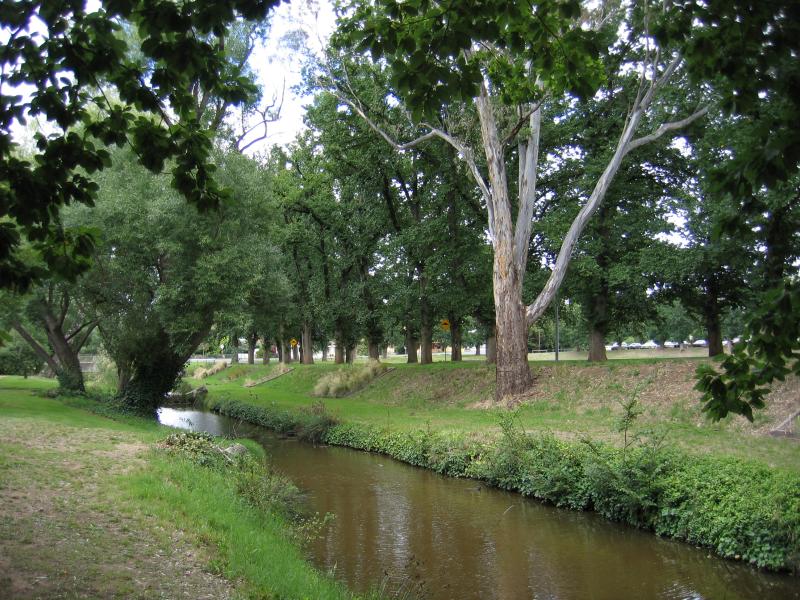Castlemaine - Castlemaine Botanical Gardens: Barkers Creek