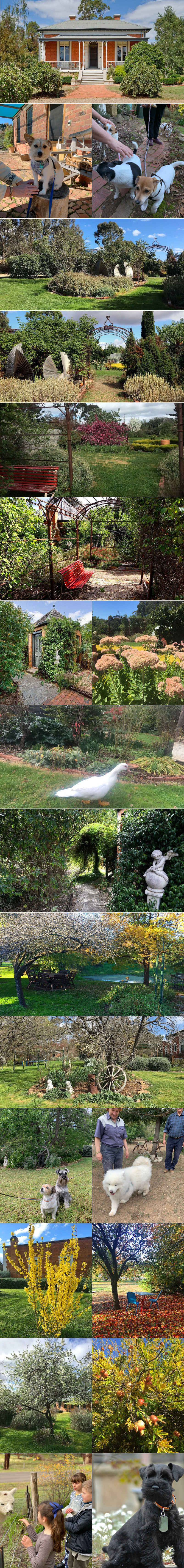 Tara BnB Cottages - The garden