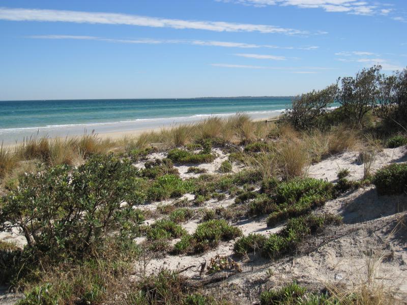 Chelsea - Beach and foreshore south of pier: View north-west across beach from end of Shenfield Av