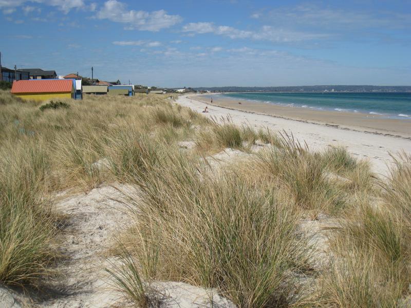 Chelsea - Beach and foreshore south of pier: View south along beach just south of pier