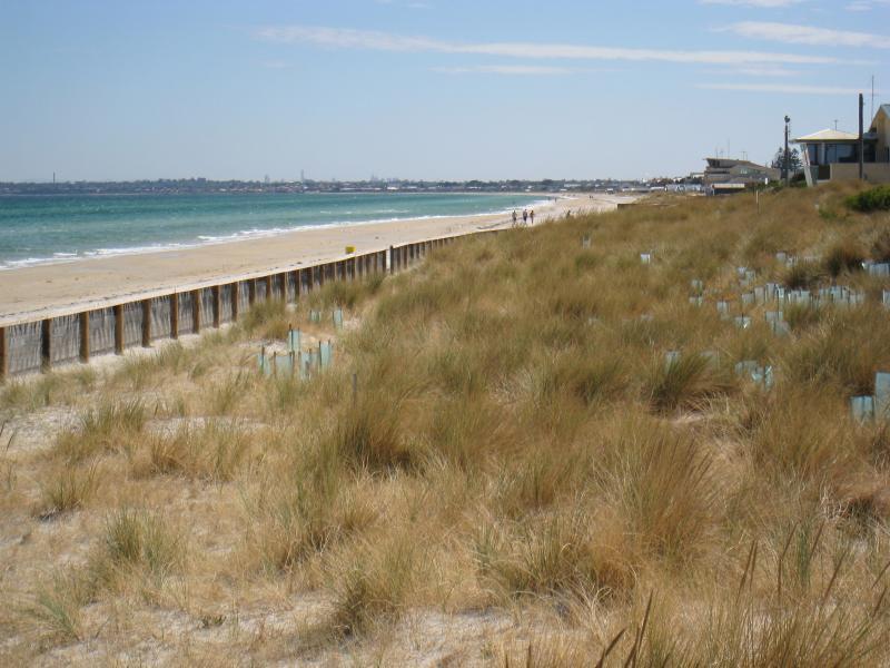 Chelsea - Beach and foreshore around pier and north of pier: View north-west along foreshore from near pier