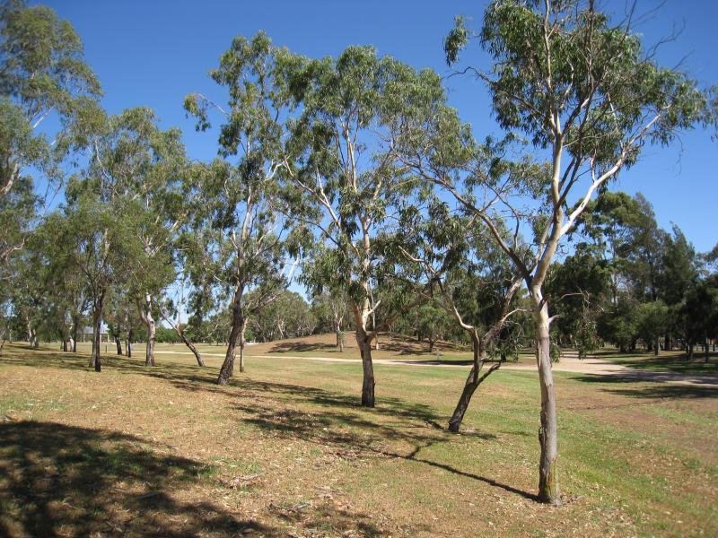 Chelsea - Bicentennial Park: Pathways through park