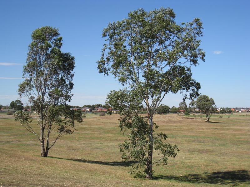 Chelsea - Bicentennial Park: South-easterly view across southern end of park