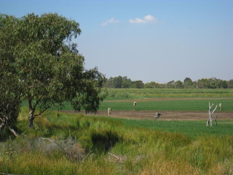 Chelsea - Edithvale-Seaford Wetlands, viewing areas along Edithvale Road: View across wetlands from viewing platform near Secondary Drain