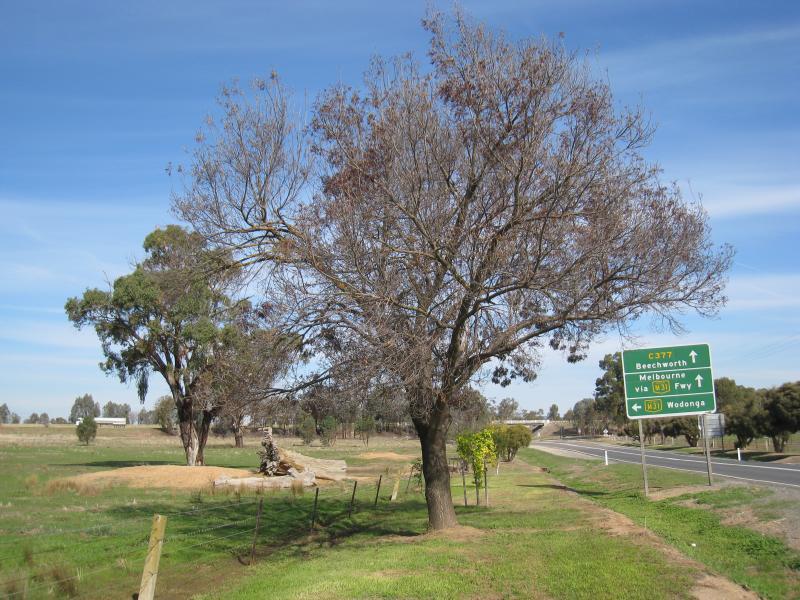 Chiltern - Main Street south of Conness Street: View south along Main St towards Hume Freeway