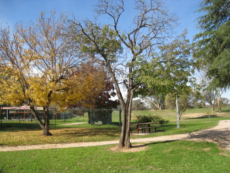 Chiltern - Martin Park, corner Main Street and Alliance Street: Path near pool