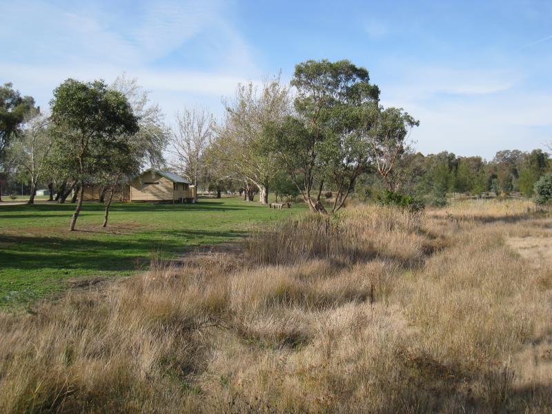 Chiltern - Lake Anderson and surrounding parkland: View east along lake from footbridge near south-eastern end