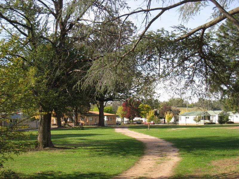 Chiltern - Lake Anderson and surrounding parkland: View through parkland near caravan park