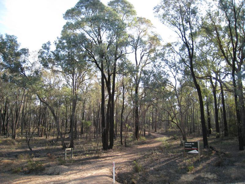 Chiltern - Howlong Road, north end of town: An entrance to Chiltern Mt Pilot National Park, Howlong Rd at Varnish Track