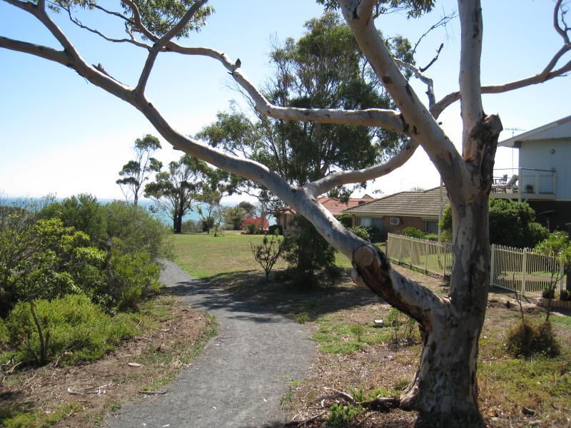 Clifton Springs - Reserve along creek at western end of Bay Shore Avenue: View north along pathway towards western end of Adrian Mannix Reserve