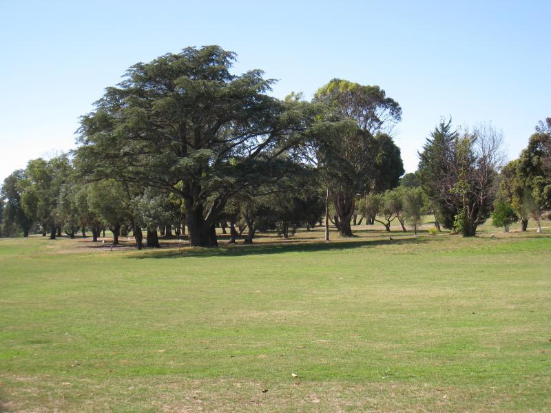 Clifton Springs - Golf club and bowling club, Springs Street - Fairway at golf course