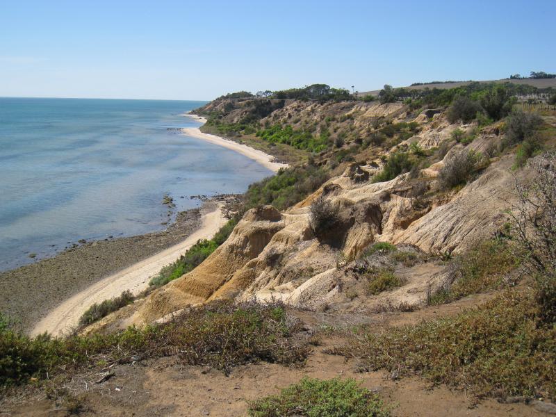 Clifton Springs - Coastline around Beacon Point, northern end of Beacon Point Road: View north-east along coast from near car park