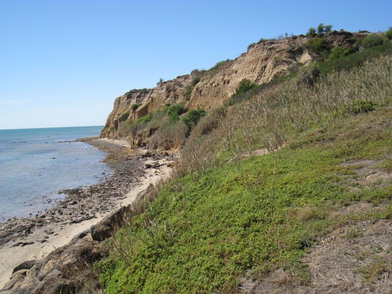 Clifton Springs - Coastline around Beacon Point, northern end of Beacon Point Road - View north-east along coast from steps down to beach