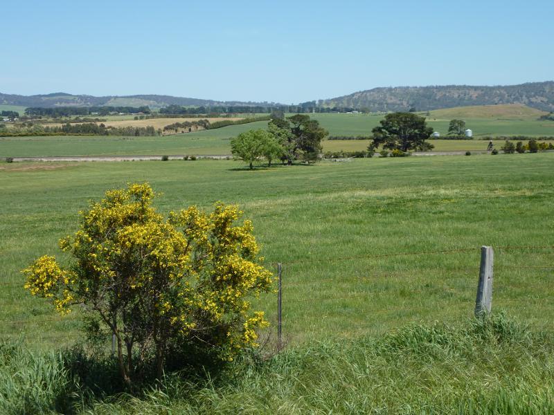 Clunes - Ballarat-Maryborough Road, south of Clunes: Westerly view, Ballarat-Maryborough Rd near Two Mile Hill