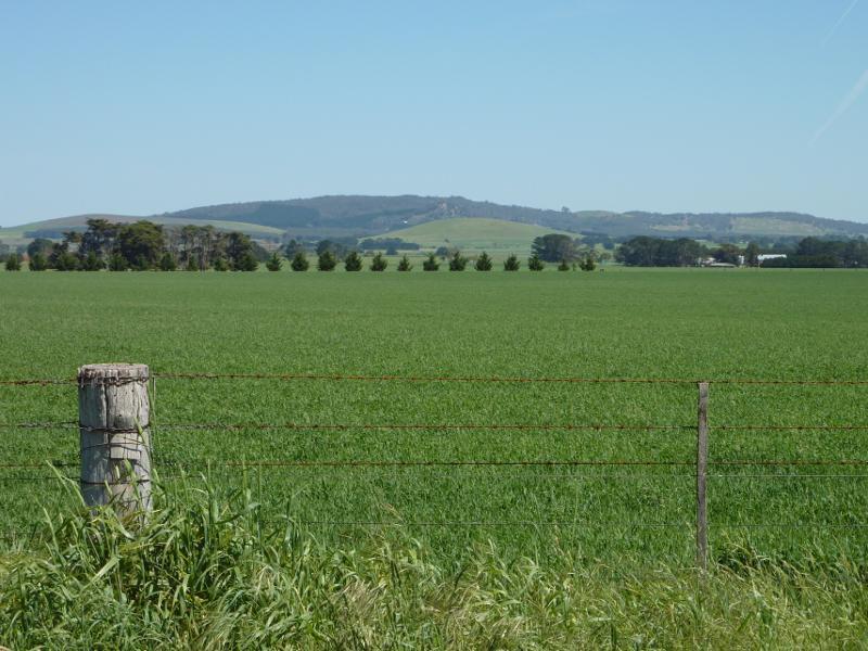 Clunes - Ballarat-Maryborough Road, south of Clunes: Westerly view, Ballarat-Maryborough Rd north of Holmes Rd