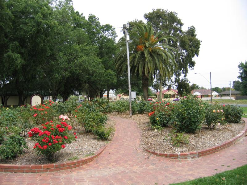 Cobram - Mivo Park (High Street) and surroundings: Don Campbell Rose Garden, Mivo Park
