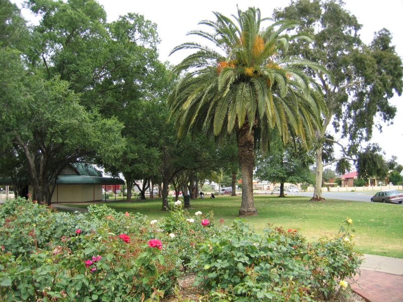 Cobram - Mivo Park (High Street) and surroundings: Gardens at Mivo Park