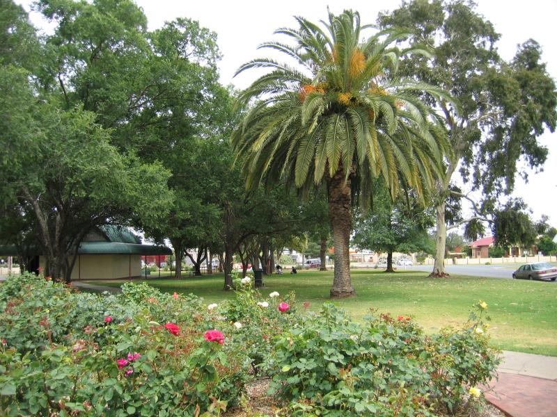 Cobram - Mivo Park (High Street) and surroundings - Gardens at Mivo Park