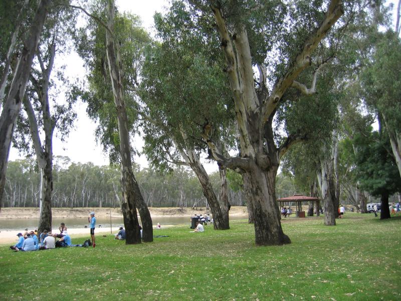 Cobram - Thompsons Beach at Kennedy Park: BBQ and picnic areas