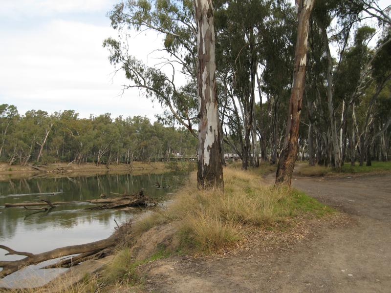 Cobram - Thompsons Beach at Kennedy Park: View south along Murray River from near canoe club