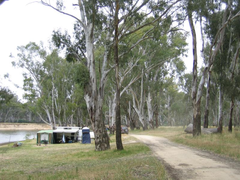 Cobram - Cobram Regional Park (State Forest) north of Wondah Street: View along banks of Murray River