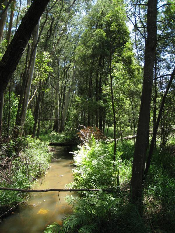 Cockatoo - Recreation reserve and surroundings, McBride Street and Pakenham Road: View north along Cockatoo Creek from north side of McBride St