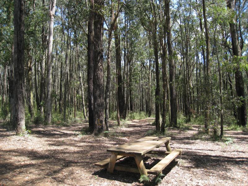 Cockatoo - Wright Forest: Picnic area off Bailey Rd