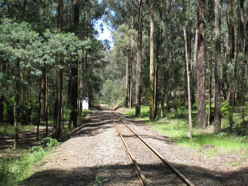 Cockatoo - Wright Forest: View east along Puffing Billy railway through forest at southern end of Wright Rd
